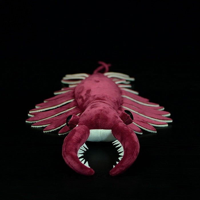 Anomalokaris – prehistoryczny pluszak