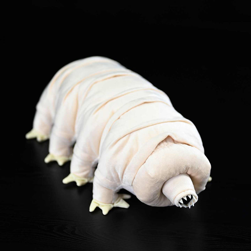 Tardigrade – pluszowy miś wodny