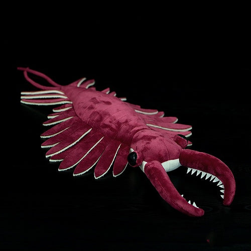 Anomalokaris, prehistoryczny pluszak