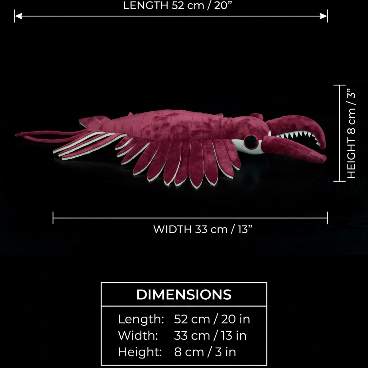 Anomalokaris – prehistoryczny pluszak